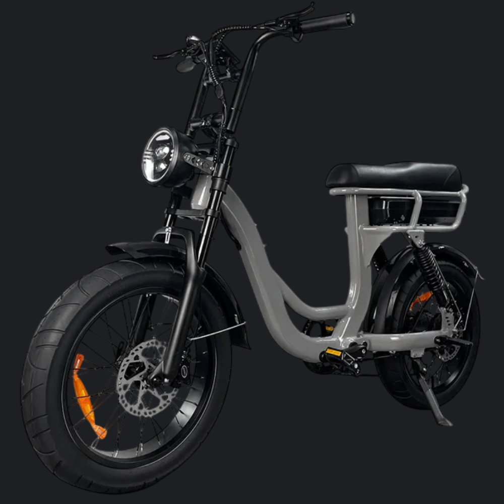 FATBIKE EB8 RS - RS2 NARDO GRIJS