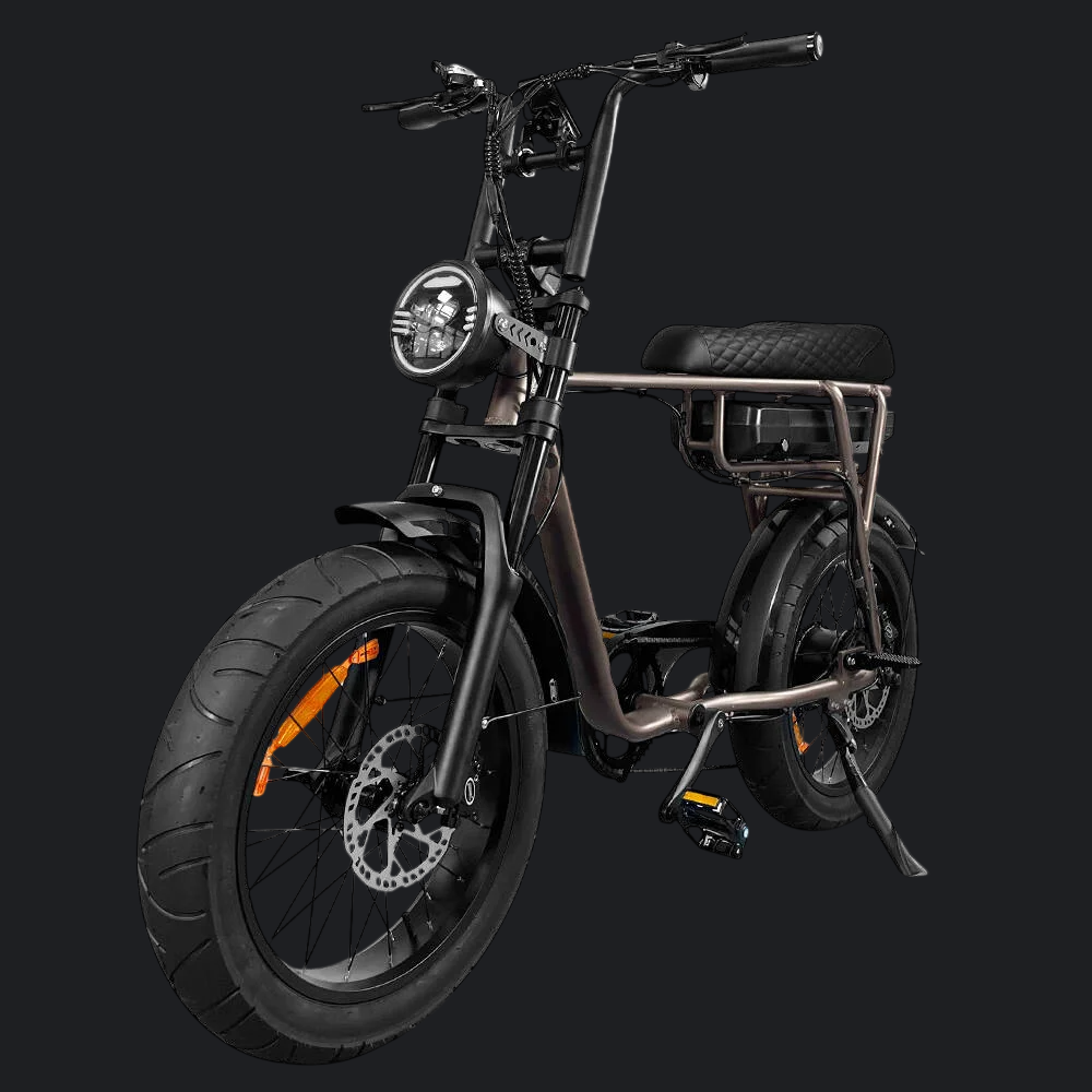 FATBIKE EB2 RS DIEPE KOFFIE