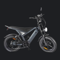 OUXI GT-20 - 2026 - FATBIKE - GRIJS
