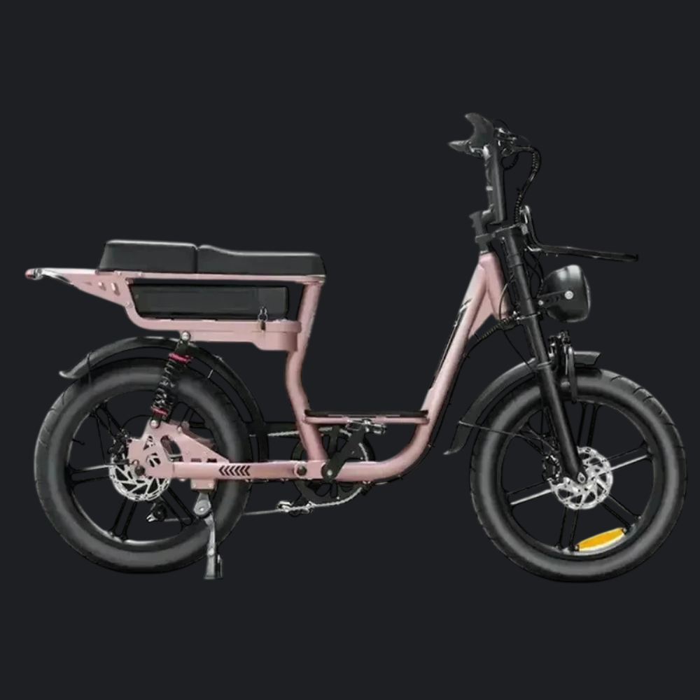 QMWHEEL V20 COMFORT - FATBIKE - ROSÉGOUD