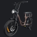 FATBIKE EB8 RS - RS2 DIEPE KOFFIE