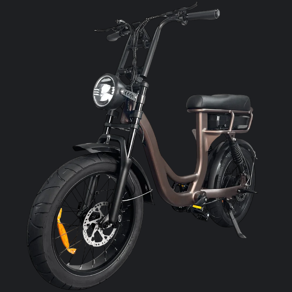 FATBIKE EB8 RS - RS2 DIEPE KOFFIE