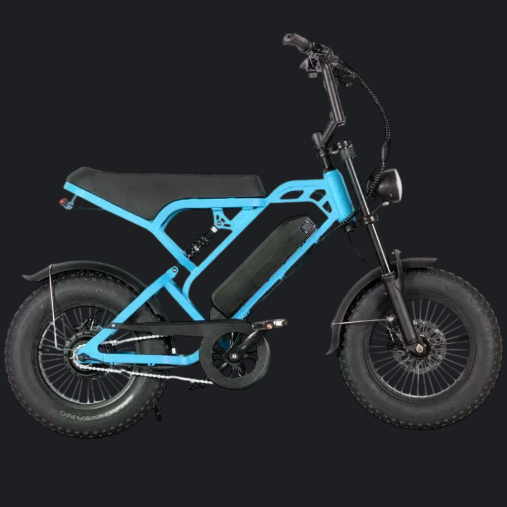 V20 Pro Mini - Blauw