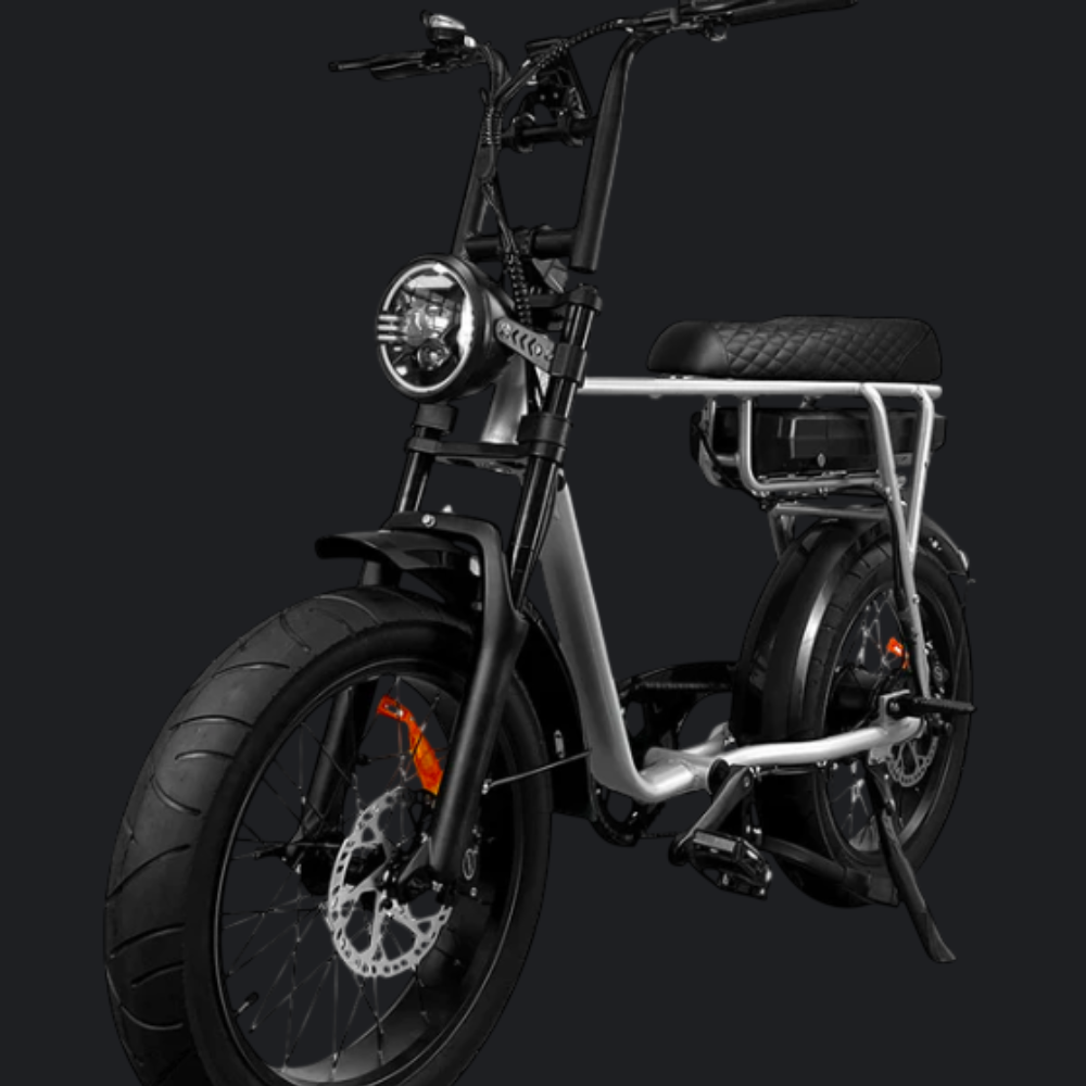 FATBIKE EB2 RS ZILVER