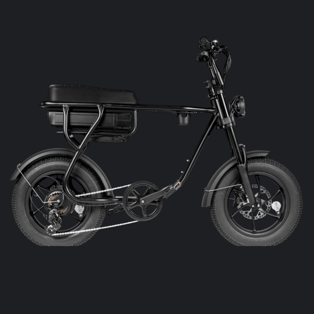 MINI FATBIKE EB16