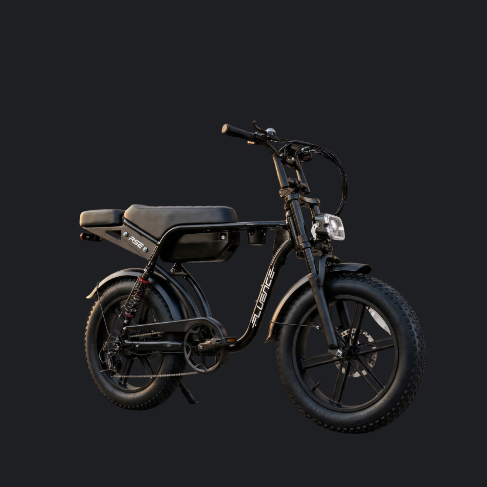 FATBIKE RSE FLUENCE - EEN ACCU